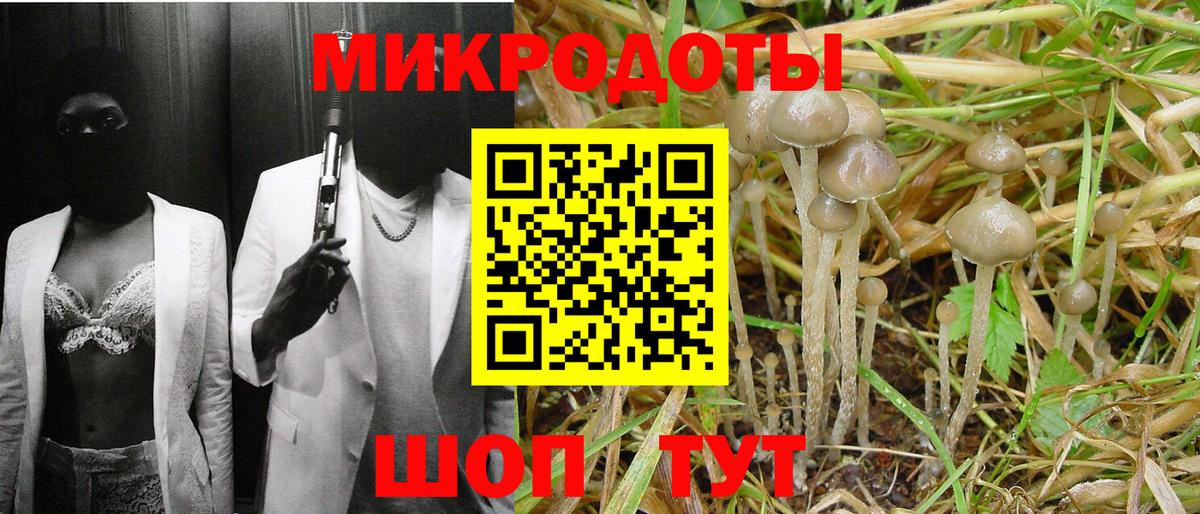 Галлюциногенные грибы ЛСД Абакан